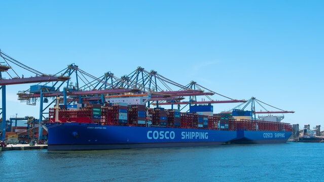 Giant blue container ship of COSCO Shipping docked at a sunny port terminal, surrounded by towering red and blue gantry cranes