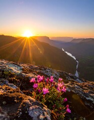 Sun setting behind a mountain landscape with flowers in foreground