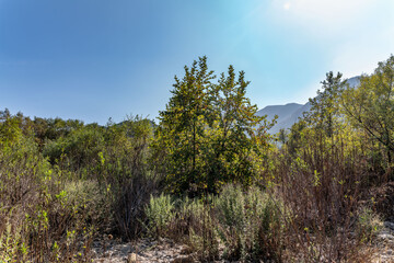 Malibu Creek State Park, Santa Monica Mountains National Recreation Area. Los Angeles County, California