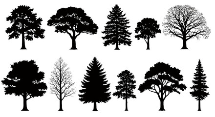 Fototapeta premium A diverse collection of detailed black silhouette vector trees, perfect for graphic design projects and natural environment illustrations, isolated on white.