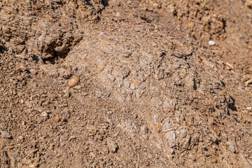Weathered. (Tcvb) Basaltic flows and breccias. Malibu Creek State Park, Santa Monica Mountains National Recreation Area. Los Angeles County, California. Basalt