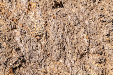Weathered. (Tcvb) Basaltic flows and breccias. Malibu Creek State Park, Santa Monica Mountains National Recreation Area. Los Angeles County, California