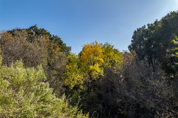 Obraz premium Malibu Creek State Park, Santa Monica Mountains National Recreation Area. Los Angeles County, California