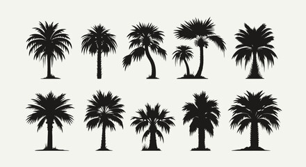 A collection of ten vector palm tree silhouettes is presented against a plain background, ideal for design projects needing tropical or exotic elements.