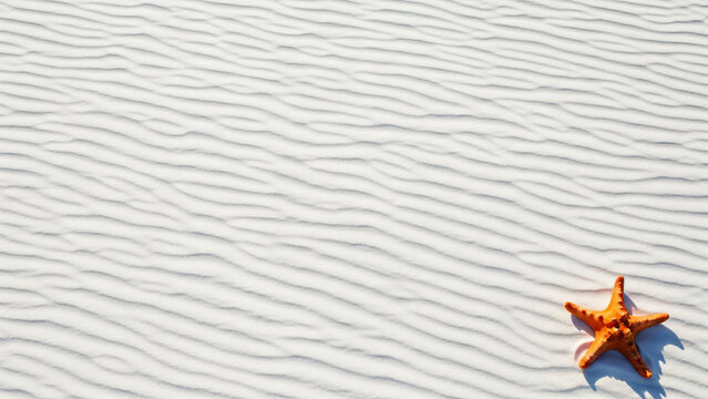 Starfish on white sand dunes texture