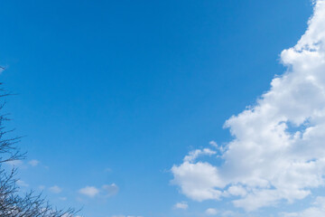 初冬の空　印象的な雲と青空06