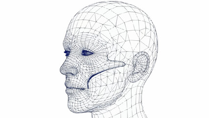 Wireframe Human Head Profile with Blue Eyes Representing Digital Identity and Technology.