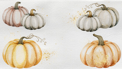Watercolor Pumpkins Collection Autumn Harvest and Seasonal Decorations