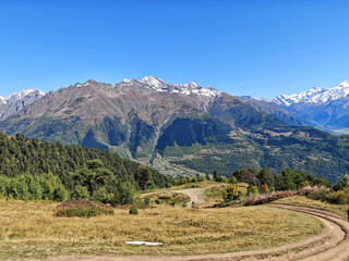 Winding dirt road leading through sub-alpine meadows with a dense background forest, set against the majestic snow-capped peaks of the Greater Caucasus Mountains near Mestia, Georgia