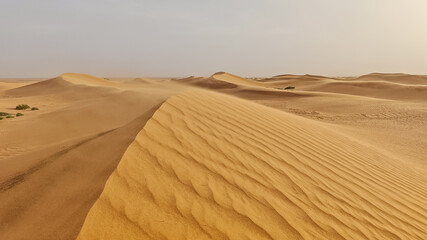 Moroccan Sahara Desert Landscape with Ripple Marks on Golden Sand Dune Ridge under Hazy Sky