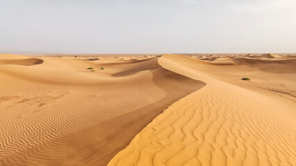 Sculpted vast orange sand dunes stretching across the remote Sahara desert background in Morocco, showing complex ripple marks and lines under a bright sky