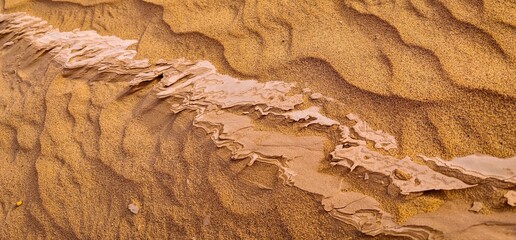 Abstract Close-up Detail of Golden Sand Dunes background Showing Wind-Sculpted Textures and Layers in the Moroccan Desert Landscape