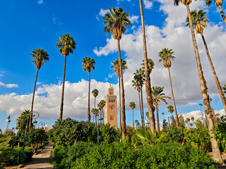 Majestic Koutoubia Mosque Minaret Tower Rises Above Lush Palm Trees and Gardens in Marrakesh, Morocco