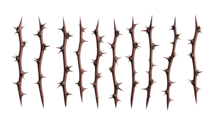 A row of dark, thorny branches isolated against a black background, angled slightly