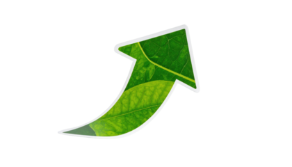 A white-bordered arrow with green leaf texture pointing diagonally up/right, on a solid black background