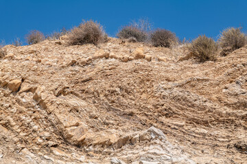 (Tmcl) Clay shale. Montery Formation. Overlook of Malibu Creek State Park, Mulholland Hwy. Santa Monica Mountains National Recreation Area. Los Angeles County, California. Sedimentary rock