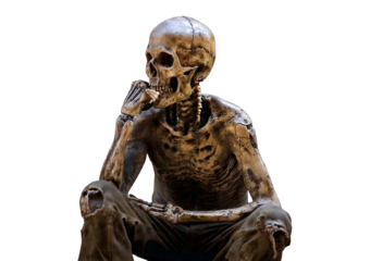 Skull sitting and thinking isolated on a transparent or white background.