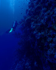 Scuba divers in the deep blue sea. Underwater photo from a scuba dive