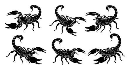Fototapeta premium Six Black Scorpions Silhouette Collection Graphic Design.