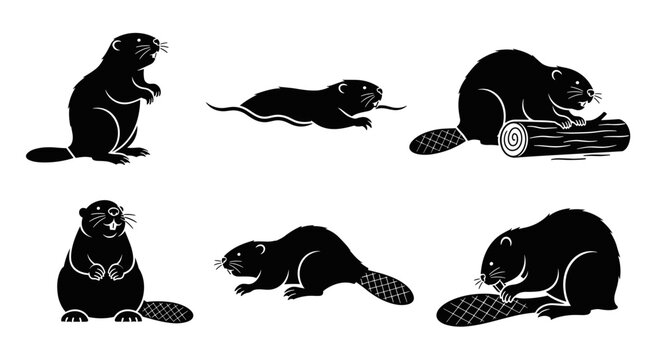 Set of six black silhouette illustrations of beavers in various poses and activities.