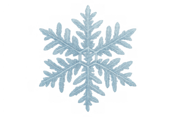 Frozen crystal structure forming a delicate snowflake, symbolizing winter season and cold weather on transparent background