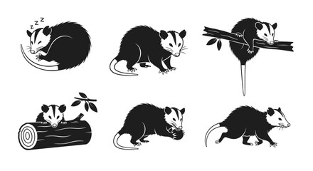 Collection of Opossum Illustrations in Various Poses and Settings.