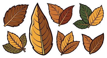 Obraz premium Autumn leaves collection with transparent background