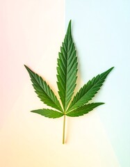 Vibrant green cannabis leaf on pastel background