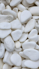 Polished White and Grey Beach Pebbles