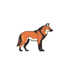 Maned wolf illustration standing on white background