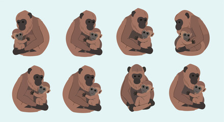 Fototapeta premium Gibbon mother and baby in various poses