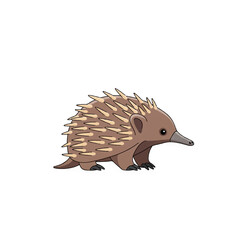 Illustration of an Echidna in Simple Style
