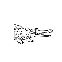 Crocodile Illustration in Black and White