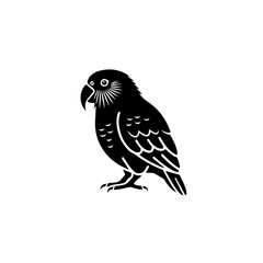 Black Parrot Silhouette