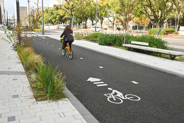 自転車道路と歩道