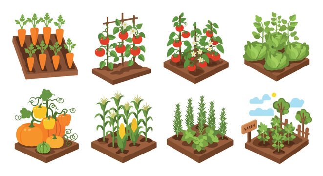 Farm vegetables garden crops growing in soil