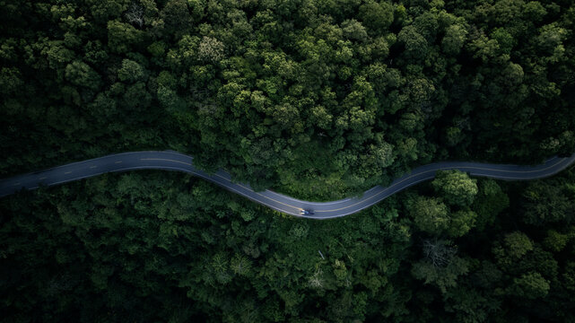 Aerial view of a road in the middle of the forest , road curve construction up to mountain - Powered by Adobe