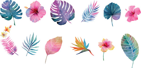 set of pink hibiscus and green leaves