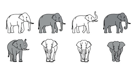 Elephant outlines in various poses with transparent background