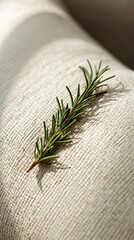 A sprig of fresh rosemary rests on a textured cream-colored fabric, highlighting the natural beauty of the herb against a soft backdrop.