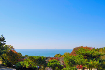 Korean traditional architecture in the blue sky, sea, and forest