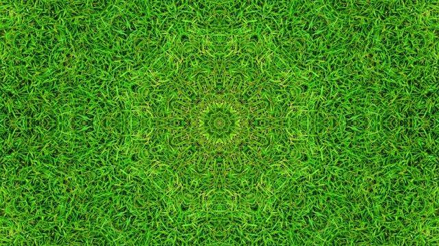 hypnotic green grass mandala kaleidoscope animation
