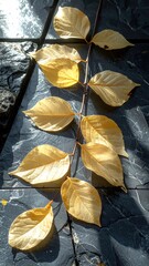 Bright yellow leaves on a stone surface
