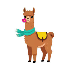 Obraz premium Cute Llama with Scarf and Flower Illustration