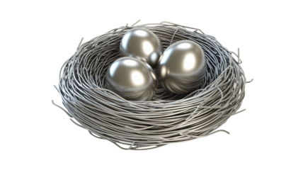 Protect your assets, safe savings in a nest of silver eggs concept