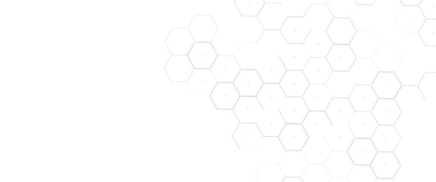 Vector Modern Tech Hexagon Network Corner Background