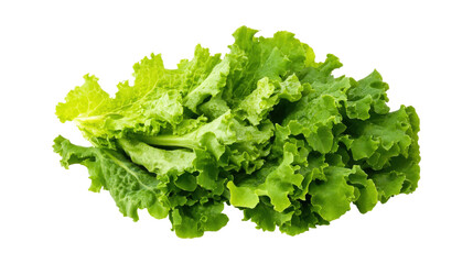 Fresh green lettuce bunch isolated on a transparent background