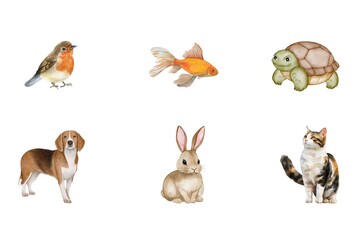 Watercolor of pets set on white background. Watercolor of fish, turtle, rabbit, cat, dog, bird isolated. Sketch of animals