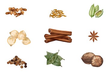 Watercolor of spices set on white background. Watercolor of cinnamon roll, candlenut, bay leaves, cumin, nutmeg, star anise, cardamom, black pepper, cloves isolated. Sketch of herb and spices