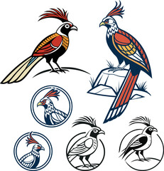 set of vector design Nepal national bird himalayan monal 